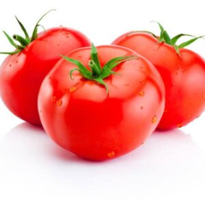 TOMATO (தக்காளி)