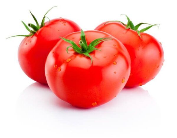 TOMATO (தக்காளி)