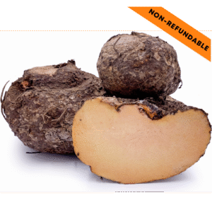 ELEPHANT YAM(சேனைக்கிழங்கு)