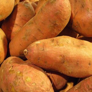 SWEET POTATO ( சர்க்கரை வள்ளி கிழங்கு)