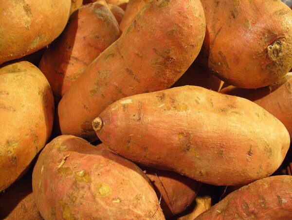 SWEET POTATO ( சர்க்கரை வள்ளி கிழங்கு)