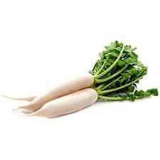 RADISH(முள்ளங்கி)