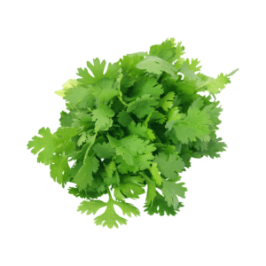 Coriander leaves (கொத்தமல்லி இலைகள்)