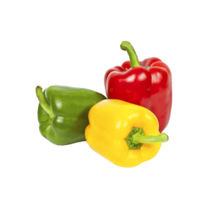 Bell pepper (குடைமிளகாய்)