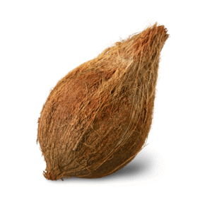 Coconut (தேங்காய்)