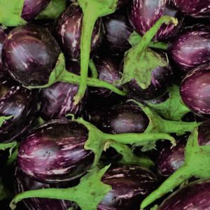 Eggplant (கத்தரிக்காய்)
