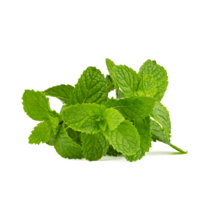Mint (புதினா)